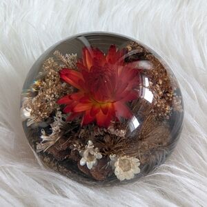 Tarax Infinity Red Flower Rocks Domed Lucite Glass Paperweight